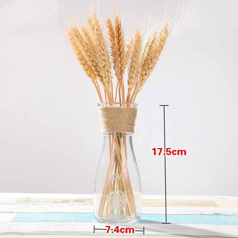 Vase en Verre Style Européen